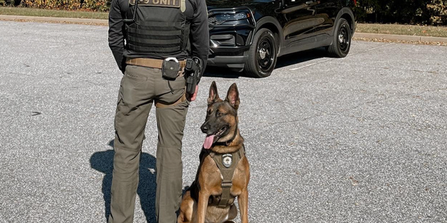 Spartanburg County Sheriff's Office K9 Paco, a Belgian Malinois, and his partner Master Deputy Shields.