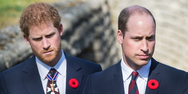 Palace sources have alleged that the relationship between Prince Harry, left, and Prince William is nonexistent.
