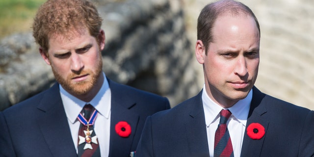 Palace sources have alleged that the relationship between Prince Harry, left, and Prince William is nonexistent.