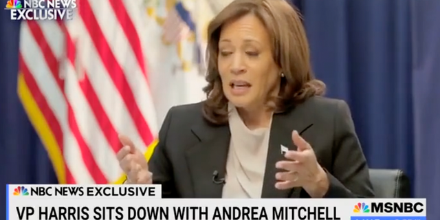 Vice President Kamala Harris discusses the Chinese spy balloon that was shot down in U.S. airspace in recent weeks.