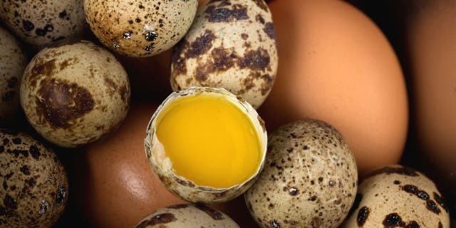 Quail eggs are sold at supermarkets and grocery stores throughout the country, and usually they're placed next to chicken eggs.