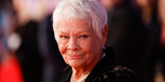 Dame Judi Dench has Disclosed Her Medical Condition is Deteriorating to the Point Where She Can No Longer Read or Recall Lines
