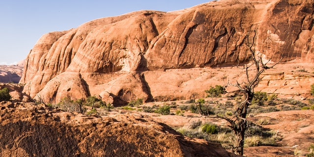 Zoe McKinney was hiking with friends in the Kane Creek Canyon area when she fell 30 feet to her death Friday, police said.