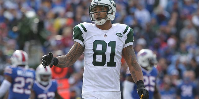 Kellen Winslow, #81 of the New York Jets, during NFL game action against the Buffalo Bills at Ralph Wilson Stadium on November 17, 2013, in Orchard Park, New York.