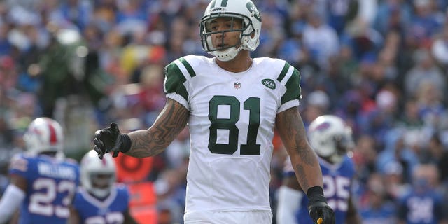 Kellen Winslow, #81 of the New York Jets, during NFL game action against the Buffalo Bills at Ralph Wilson Stadium on November 17, 2013 in Orchard Park, New York.