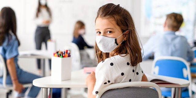 little girl wearing mask in school