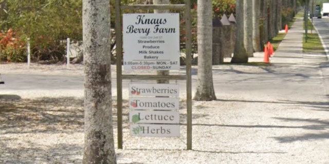 Knaus Berry Farm is located in Homestead, Florida, and is known for its homemade baked goods.