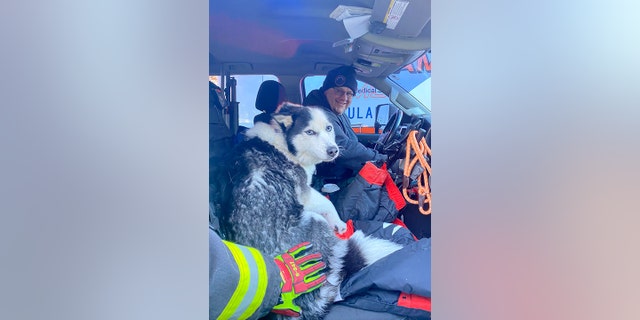 Dakota the dog is seen warming up in a vehicle after he was rescued from an icy pond, where he spent about 20 minutes.