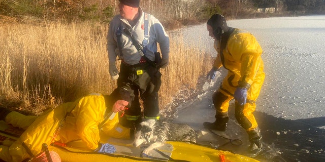 Police, fire, EMS and Department of Natural Resources crews all responded to the scene to rescue the dog in Massachusetts.