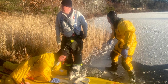 Police, fire, EMS and Department of Natural Resources crews all responded to the scene to rescue the dog in Massachusetts.