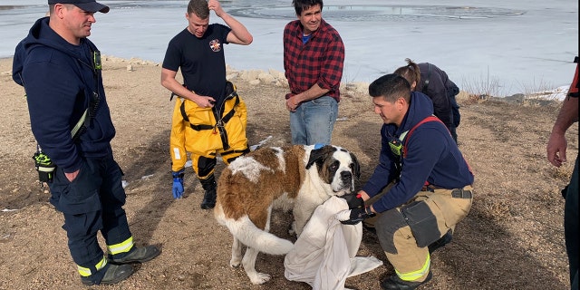 Mumford was rescued minutes after firefighters arrived at the scene.
