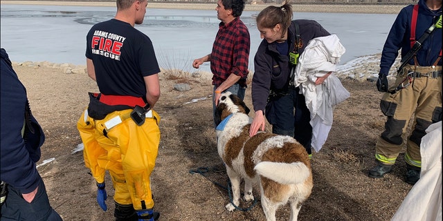 Members of the Adams County Fire Rescue pet Mumford after he was dried off.
