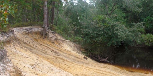 Illegal off-road vehicle use in New Jersey's Pinelands has begun taking an environmental and political toll on the state.
