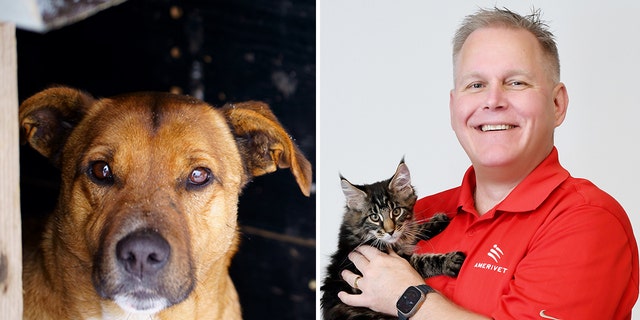 Like humans, pets can get frostbite and hypothermia, said Dr. Brian Hurley (shown above on right).