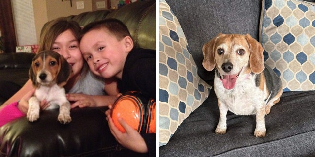 Siblings Alani Leon (far left) and Alex Leon are seen in 2015 with puppy Roscoe. The family is now focused on Roscoe’s future.