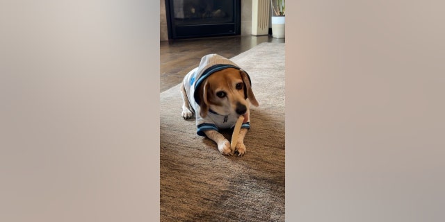 Roscoe enjoys relaxing at his home in Kansas with his original family, who never forgot about him during all the years he was missing.