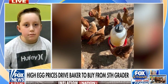 Robbins, who is in grade five, said her hens can produce around 18 to 19 eggs a day.