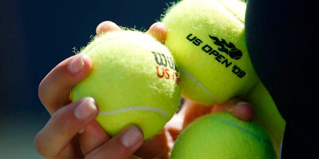 A ball girl holds tennis balls during the match between Tommy Haas of Germany and Robert Kendrick of the U.S. at the US Open tennis championships in New York September 3, 2009. REUTERS/Kevin Lamarque 