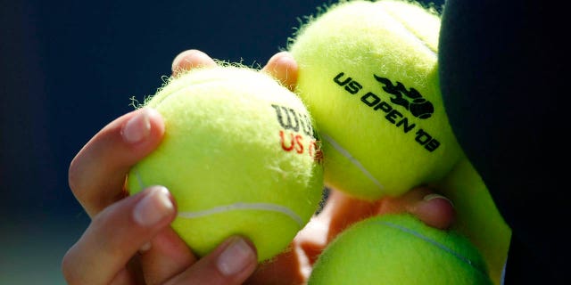 A ball girl holds tennis balls during the match between Tommy Haas of Germany and Robert Kendrick of the U.S. at the US Open tennis championships in New York September 3, 2009. REUTERS/Kevin Lamarque 