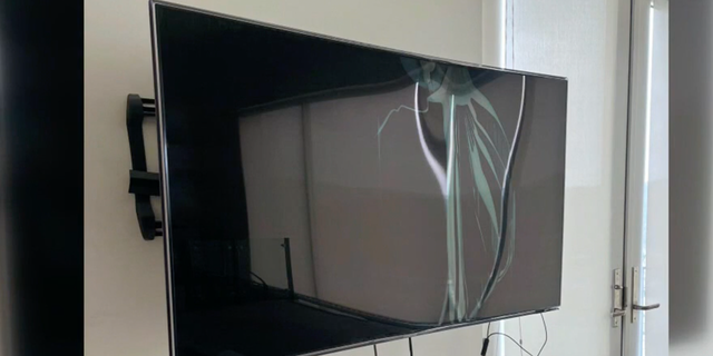 Destroyed TV at home where wild party was held without the permission of homeowners.