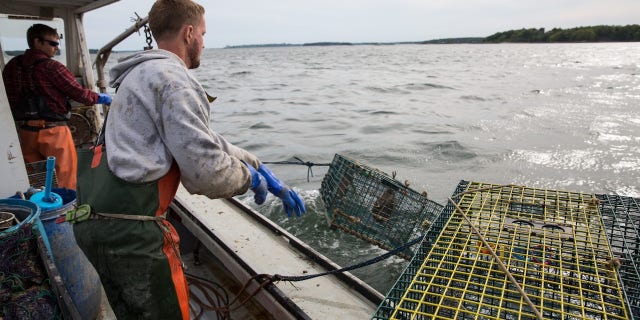 Maine lobstermen