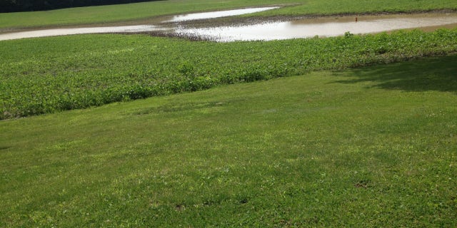 Even after three inches of rain on the July 4th weekend, the Hoffman farm doesn't qualify as a waterway. Unless the Biden administration is doing it.