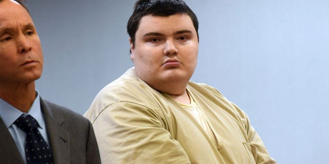 Peter Manfredonia, 26, of Newtown, Connecticut, pleaded guilty to a sword attack that killed one man and injured another.