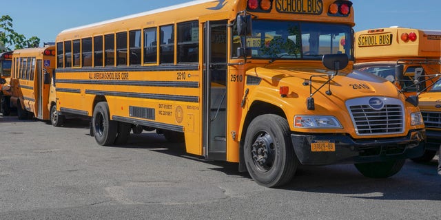 School buses seen in a parking lot. 