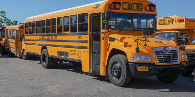 Yellow school buses seen in a parking lot.