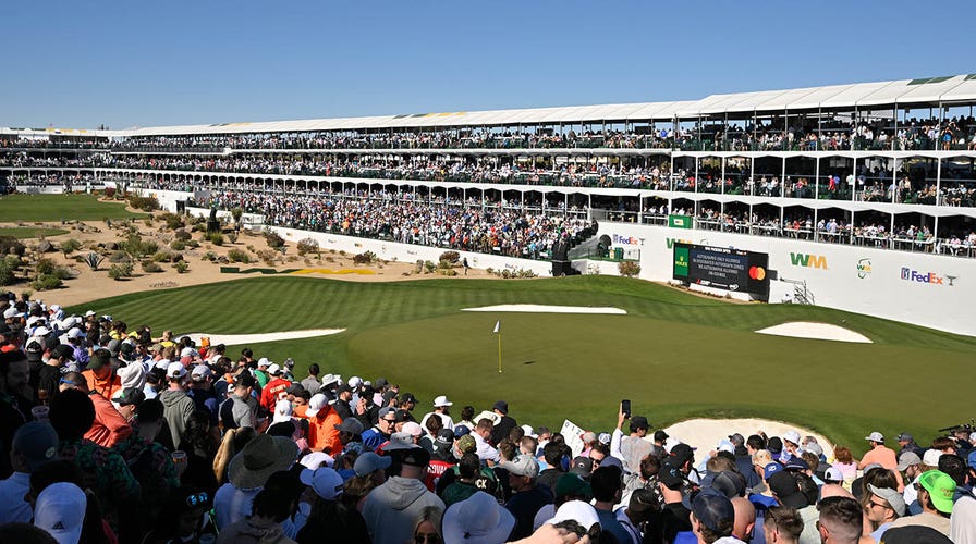 Streaker Steals The Show At 16th Hole Of Waste Management Phoenix Open ...