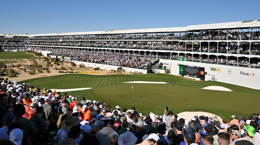 Streaker steals the show at 16th hole of Waste Management Phoenix Open