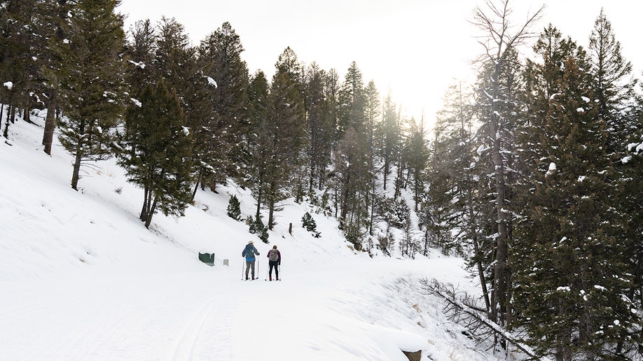 crosscountry skiing yellowstone