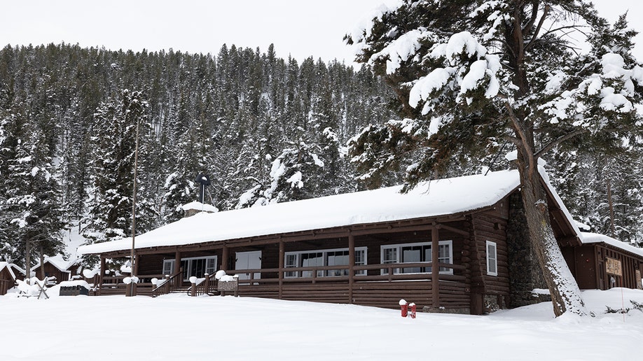 roosevelt lodge yellowstone