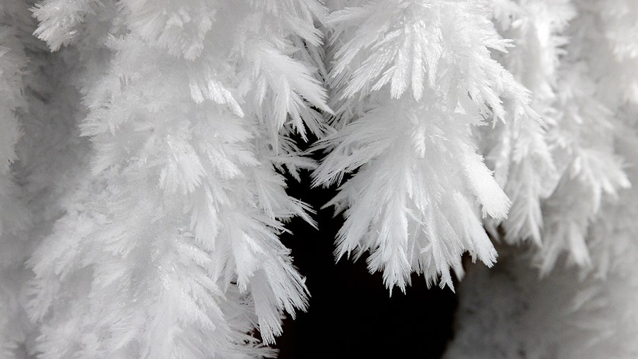 hoarfrost yellowstone