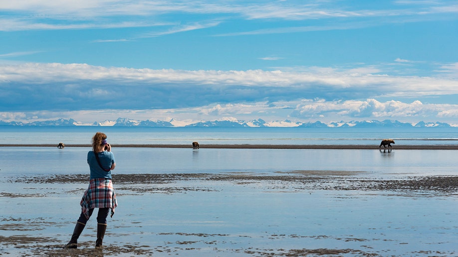 lake clark bears