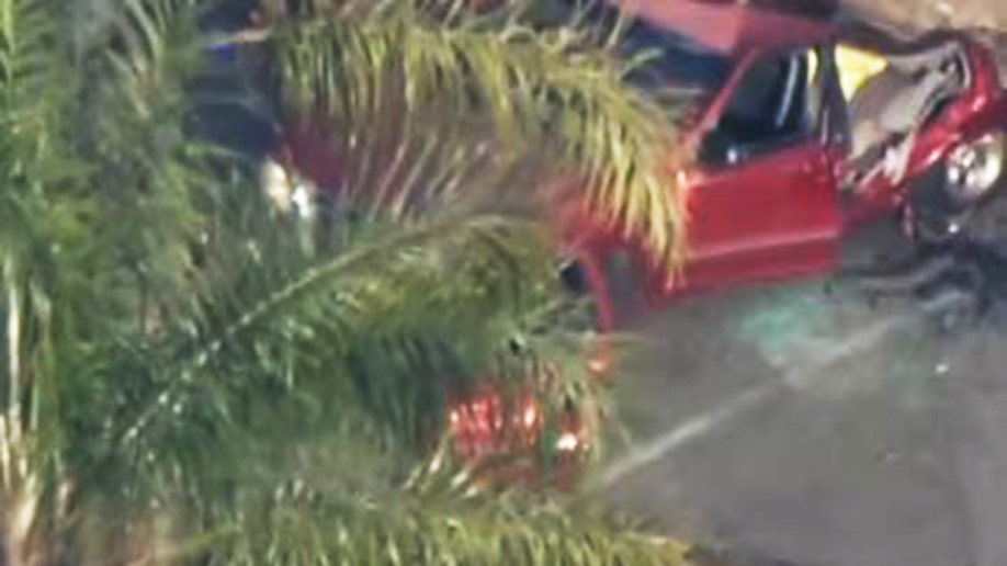 CA tree on SUV three