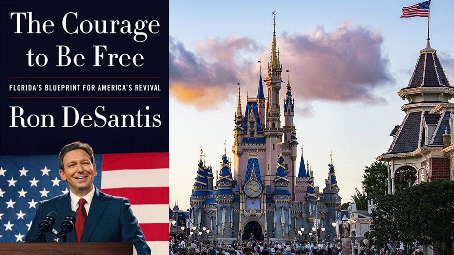 Former Disney CEO privately complained to DeSantis about 'pressure' from  woke left amid Florida fight: book | Fox News