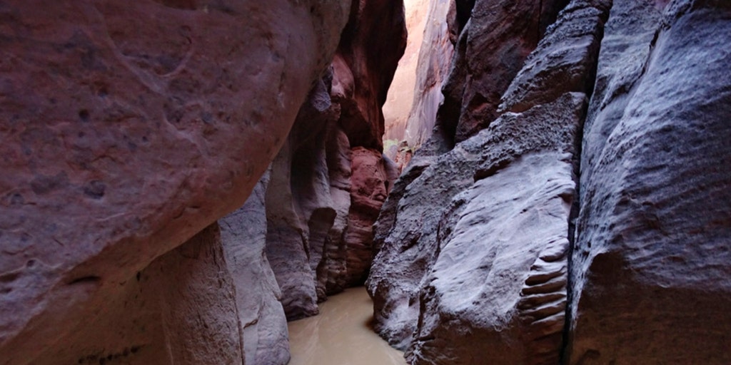 2 men found dead near Utah-Arizona border after canyons flood - Vimarsana News