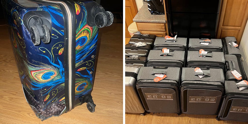 Delta damaged baggage sale