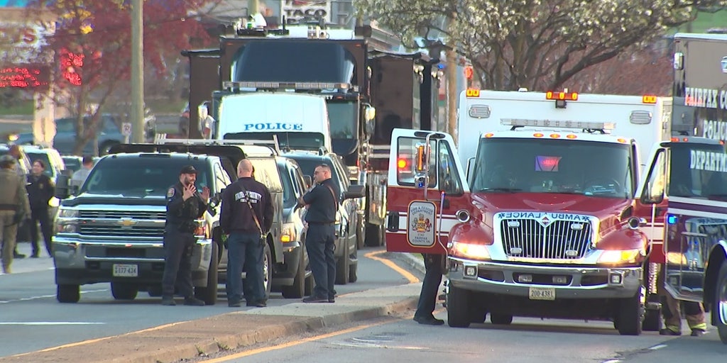 Armed woman surrenders to cops after 36-hour traffic-snarling standoff: 'Thank you for your patience' - Vimarsana News