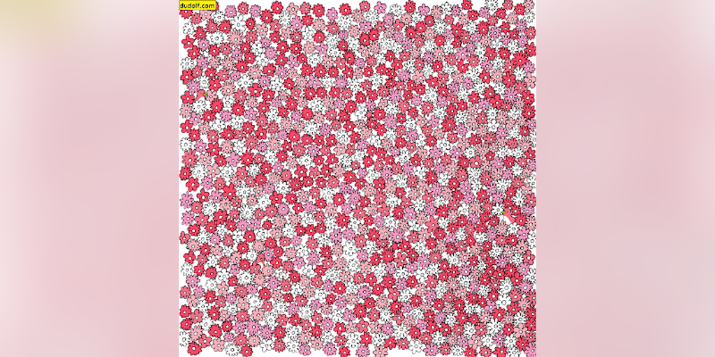 Brain teaser: Can you find 5 stars hidden in this flower field? - Vimarsana News