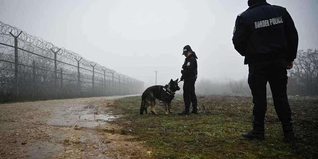 Europe's anti-torture monitor decries police, border guards that use dogs, violence to humiliate migrants - Vimarsana News