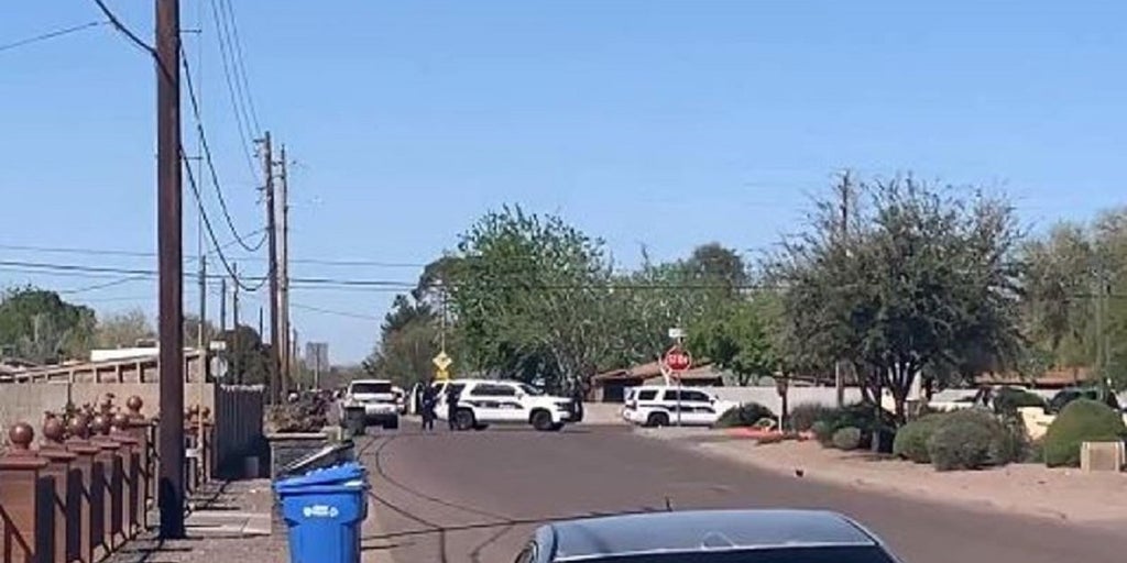 Phoenix police officer shot in 'unprovoked attack' - Vimarsana News