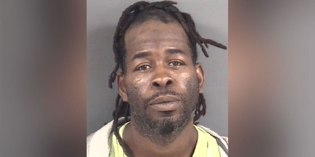 North Carolina man pleads guilty to raping woman 31 years ago, sentenced to decades in prison - Vimarsana News