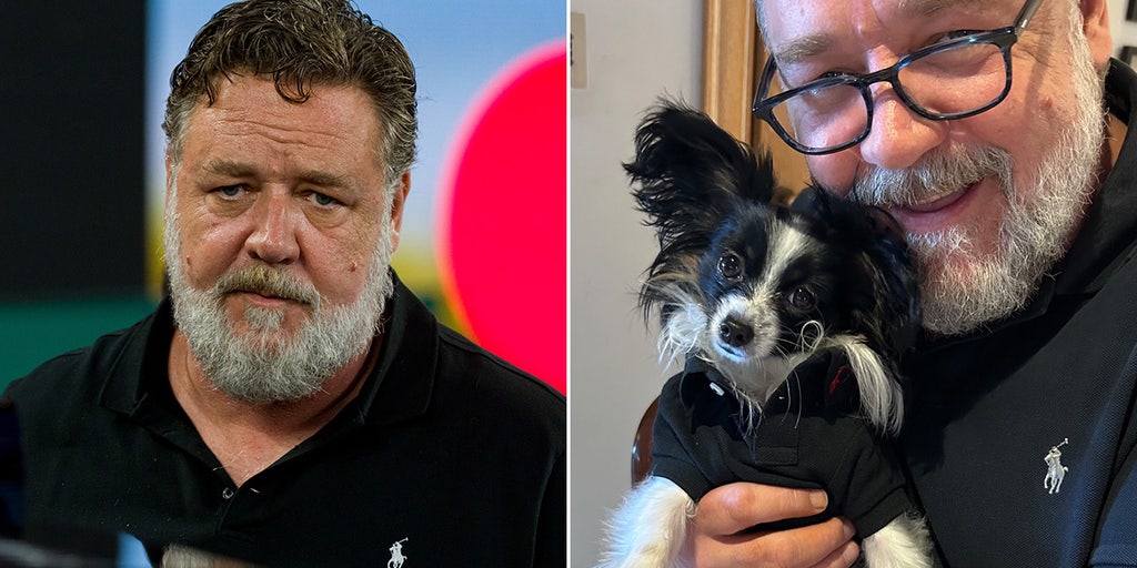 Russell Crowe says his puppy died in his arms after being hit by a truck: 'He stole my heart' - Vimarsana News