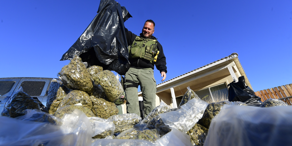 Chinese nationals operate nearly every illegal indoor marijuana farm in the largest US county, sergeant says - Vimarsana News
