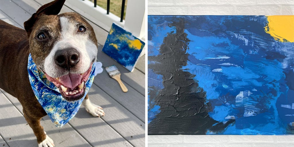 Van Gogh, the one-eared dog who 'paints' to end pet homelessness, gets $10K bid on 'Starry Night' at auction - Vimarsana News