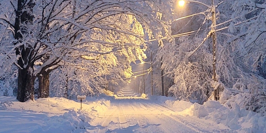 Nor'easter storm knocks out power for over 135K, cancels flights - Vimarsana News
