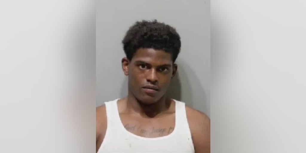 Detroit murder suspect out on bond accused in fourth killing - Vimarsana News