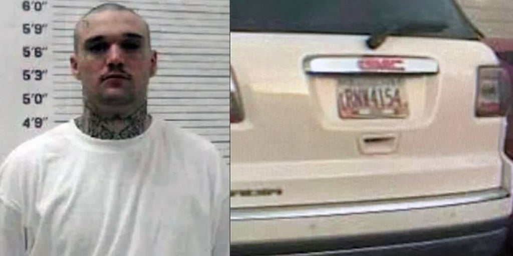 Georgia authorities launch statewide manhunt for escaped inmate - Vimarsana News